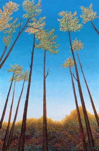 Title  :  Shimmering  Above 